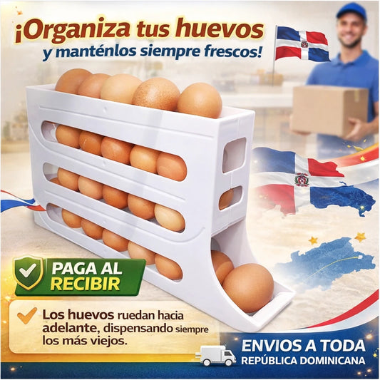 Despídete del Desorden: Tus Huevos Siempre Seguros y Organizados